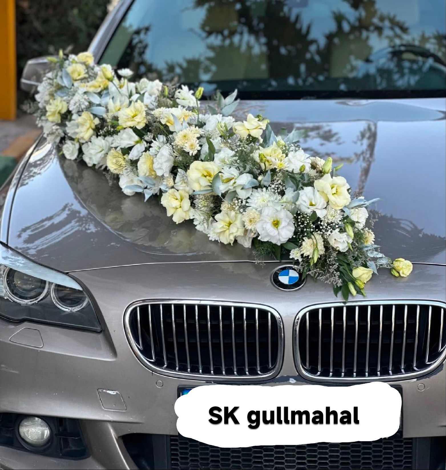 Showcase by SK Gullmahal